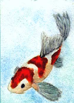 "Koi" by Rebecca Herb, Madison WI - Watercolor- SOLD
